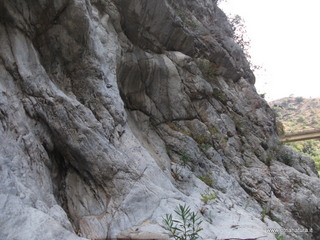 Gole Aranciara